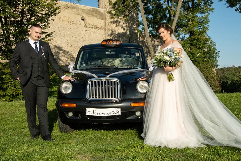 London Taxi TX2